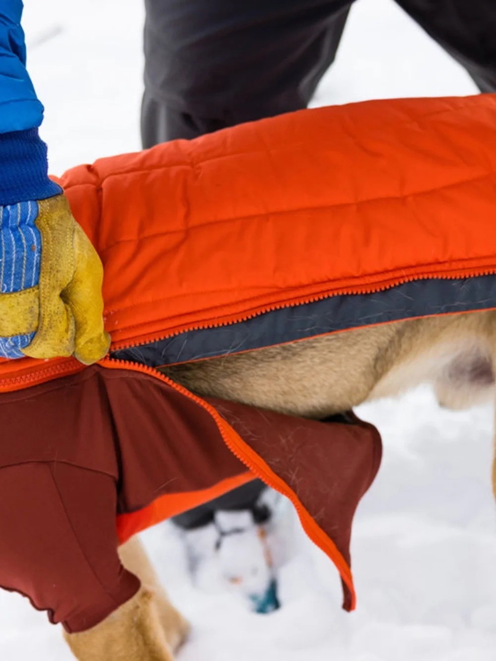 Ruffwear Powder Hound Winter Dog Jacket Insulated Zip-up XS Red/Orange
